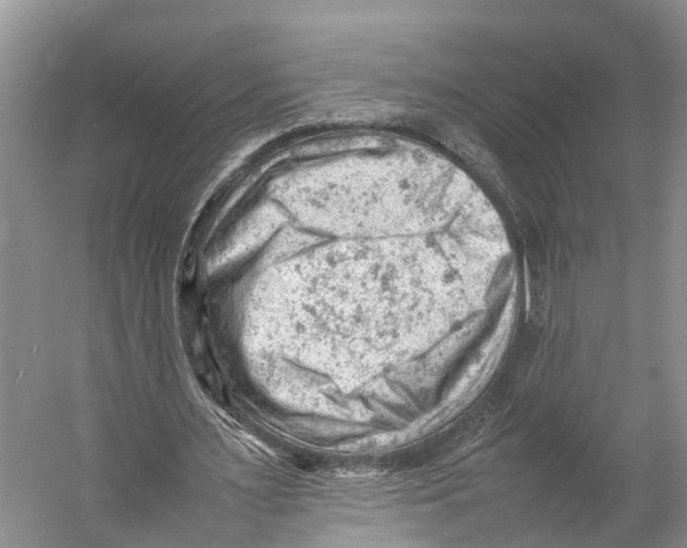 X0000053150483200508081414