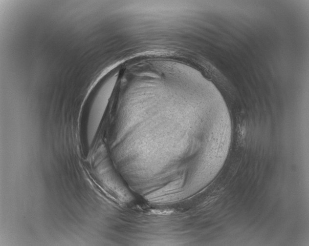 X0000053150484200508081414