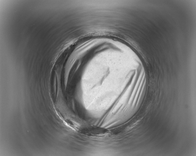 X0000053150485200508081414