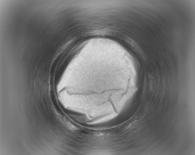 X0000053150486200508081414