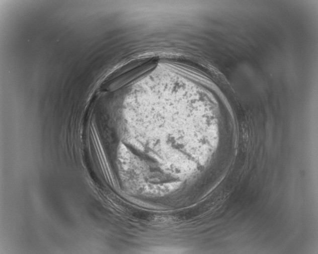 X0000053150487200508081414