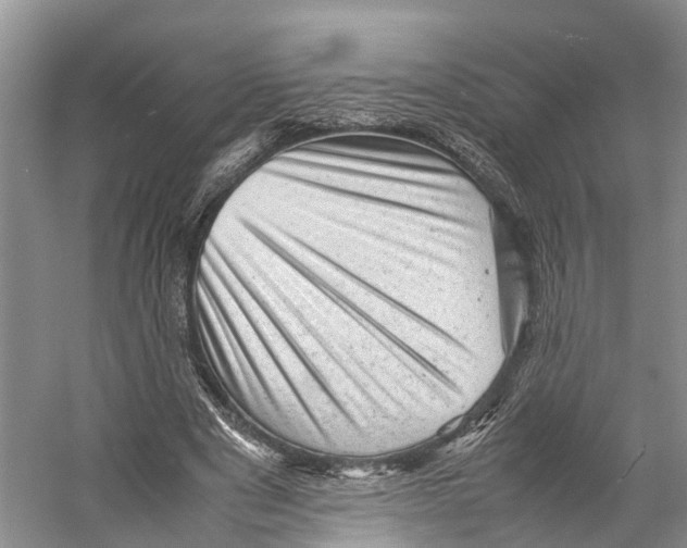 X0000053150489200508081414