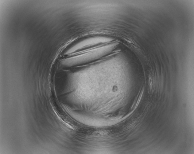 X0000053150492200508081414