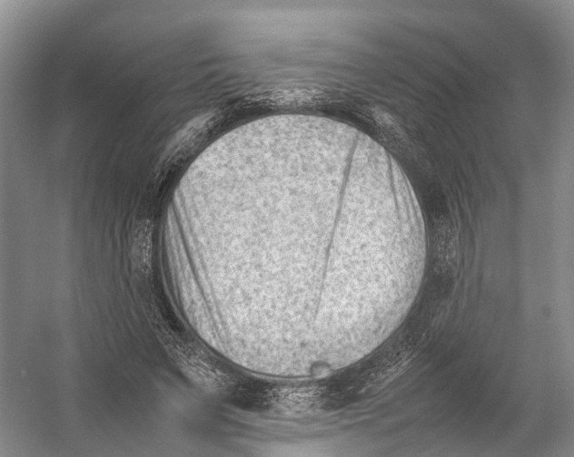 X0000053150495200508081414