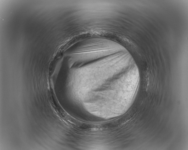 X0000053150496200508081414