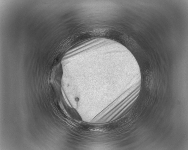 X0000053150498200508081414