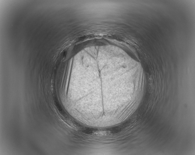 X0000053150499200508081414