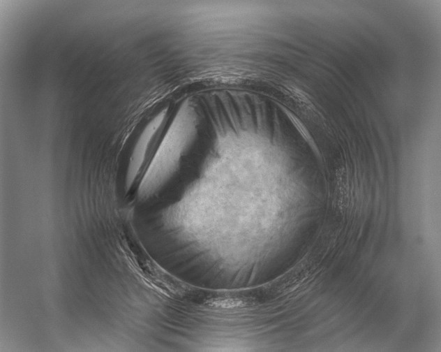 X0000053150500200508081414