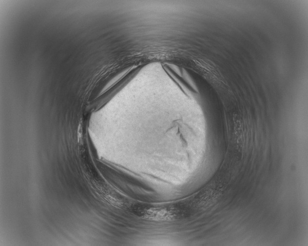 X0000053150502200508081414