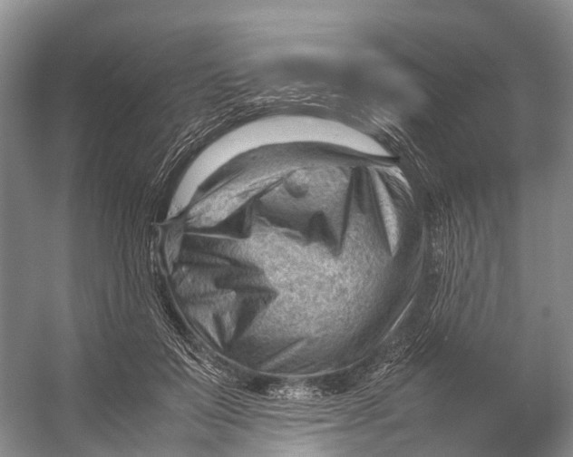 X0000053150503200508081414