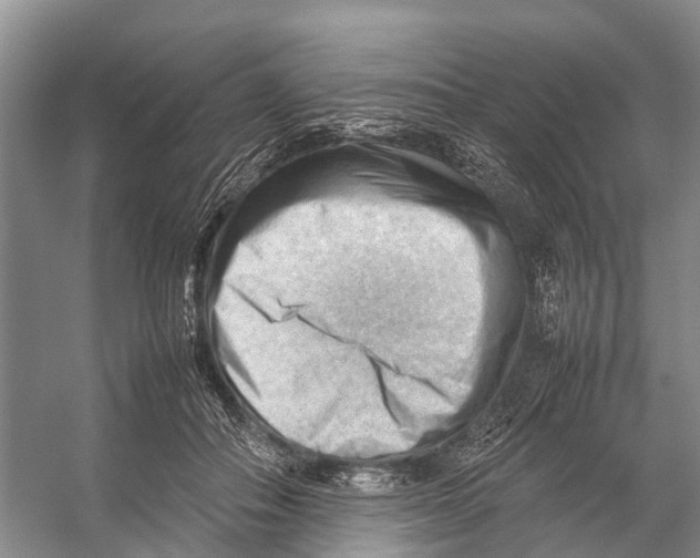 X0000053150506200508081414