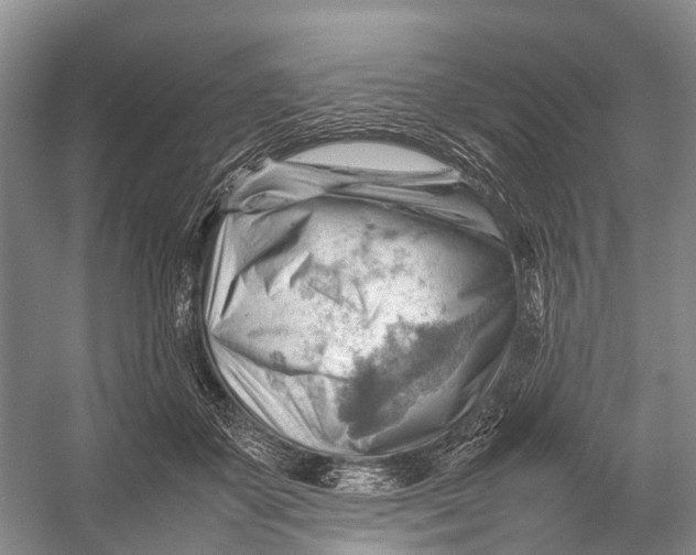 X0000053150507200508081414