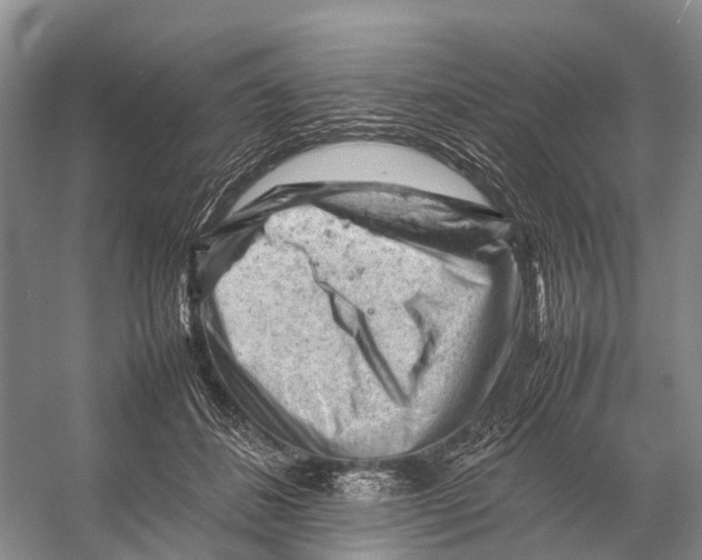 X0000053150508200508081414