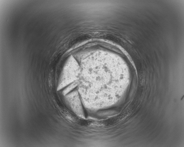 X0000053150515200508081414