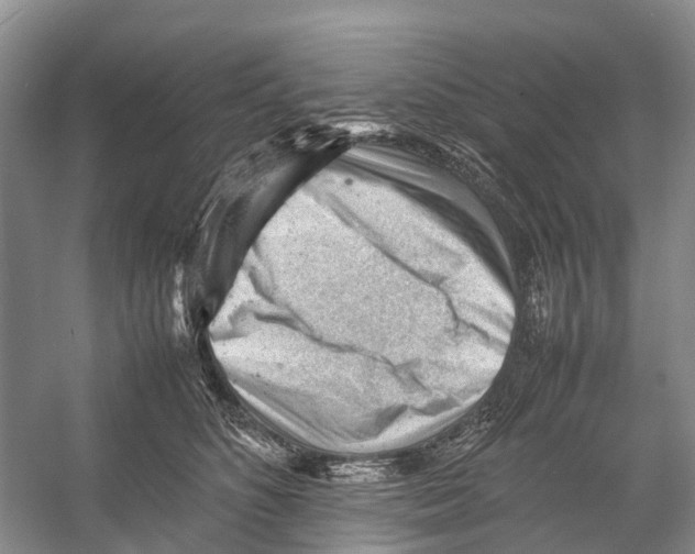 X0000053150516200508081414