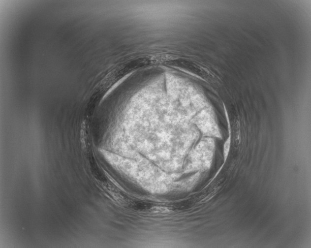 X0000053150519200508081414