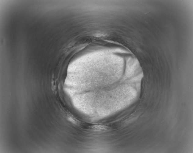 X0000053150528200508081414