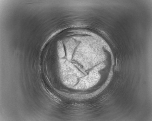 X0000053150531200508081413