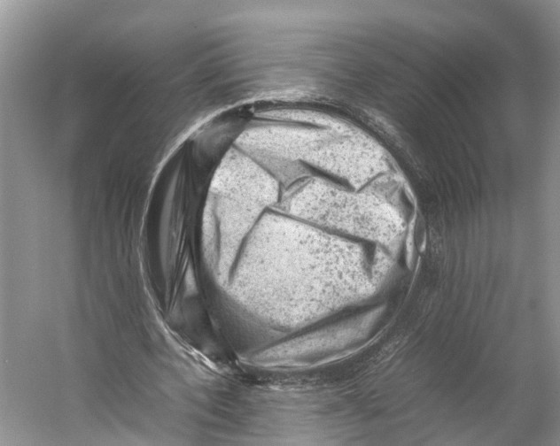 X0000053150532200508081413