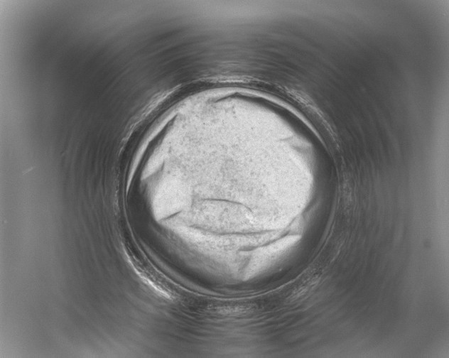 X0000053150533200508081413