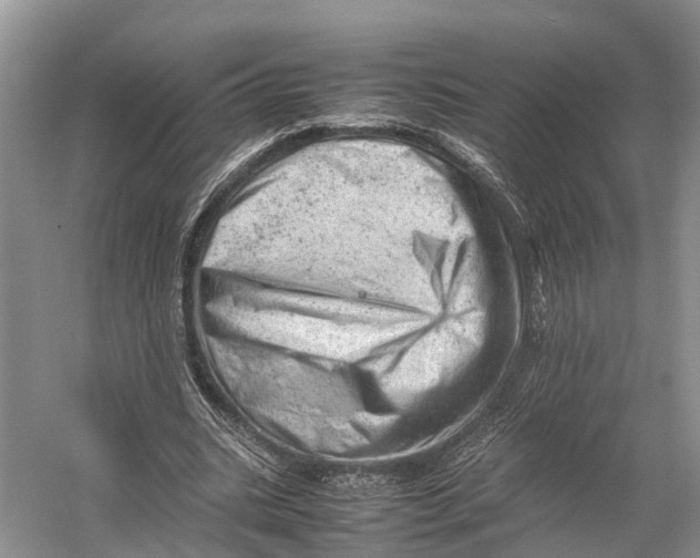 X0000053150535200508081413