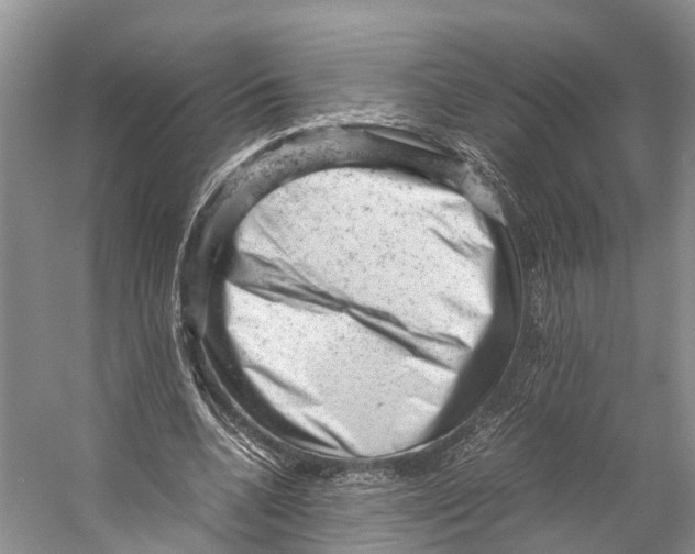 X0000053150536200508081413