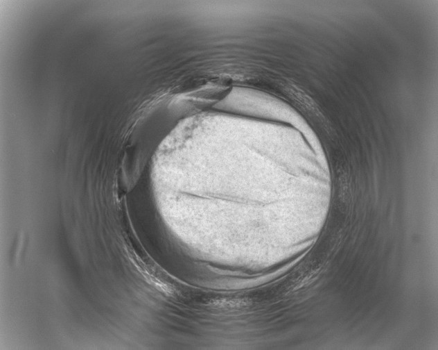 X0000053150537200508081413