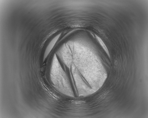 X0000053150539200508081413