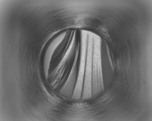 X0000053150540200508081413