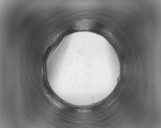 X0000053150541200508081413