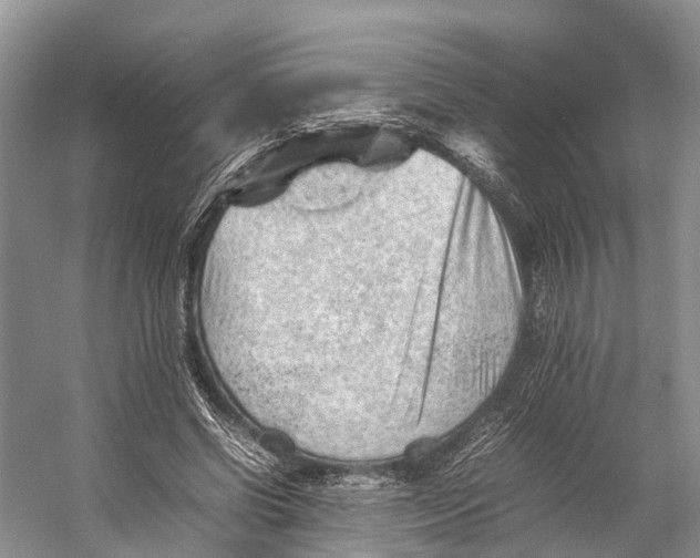 X0000053150542200508081413