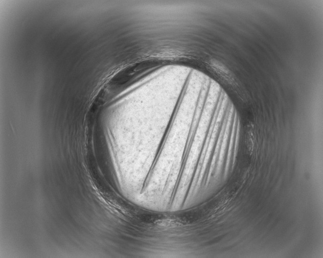 X0000053150544200508081413