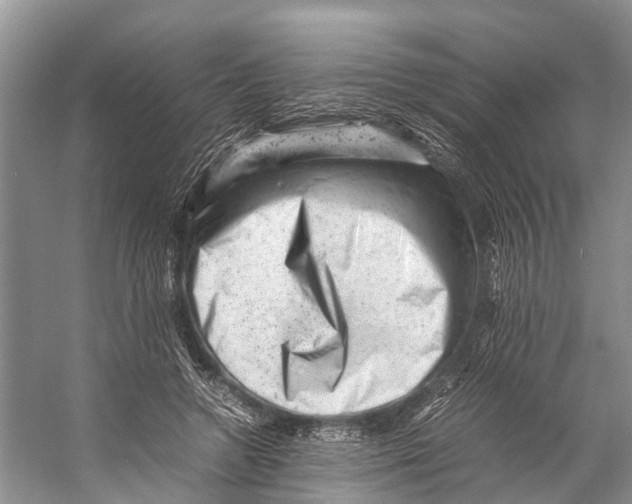 X0000053150546200508081413