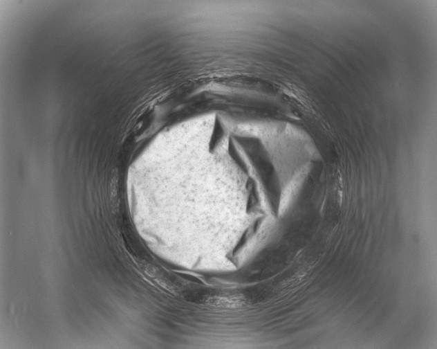 X0000053150548200508081413