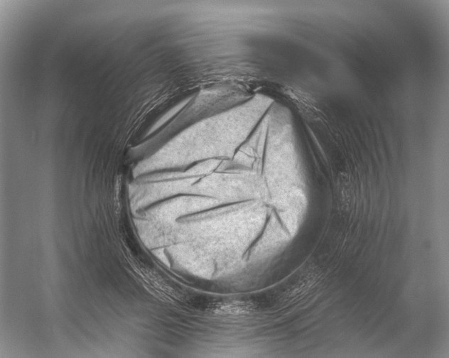 X0000053150550200508081413