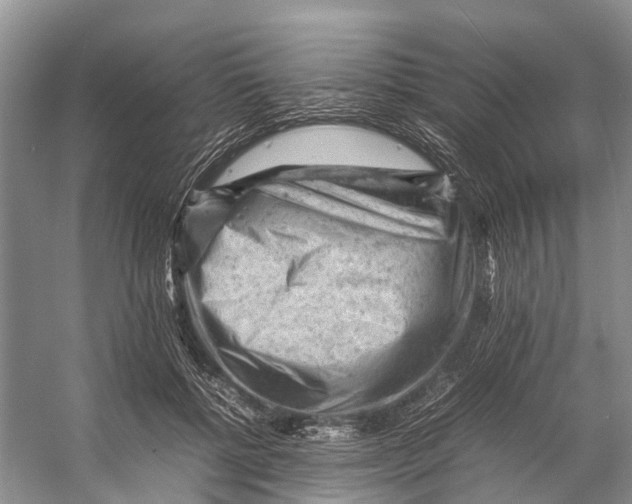 X0000053150552200508081413