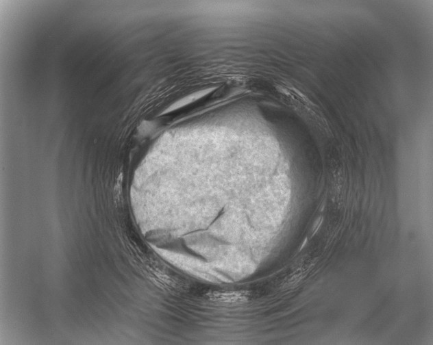 X0000053150553200508081413