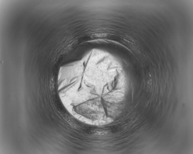 X0000053150555200508081413