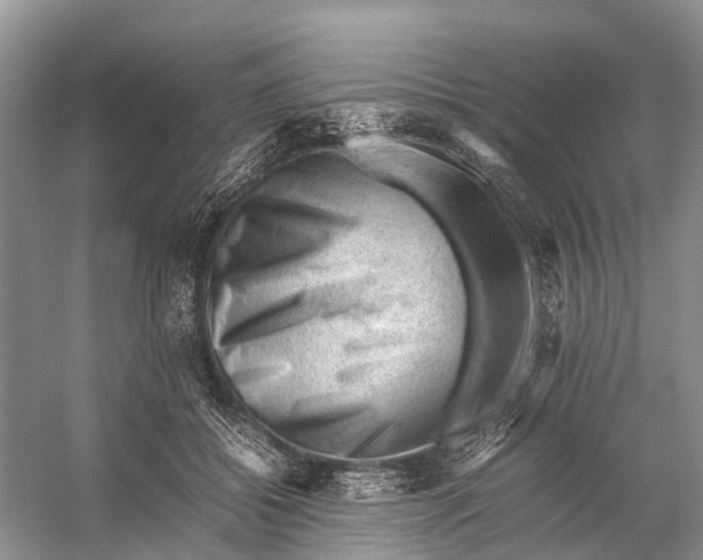 X0000053150556200508081413