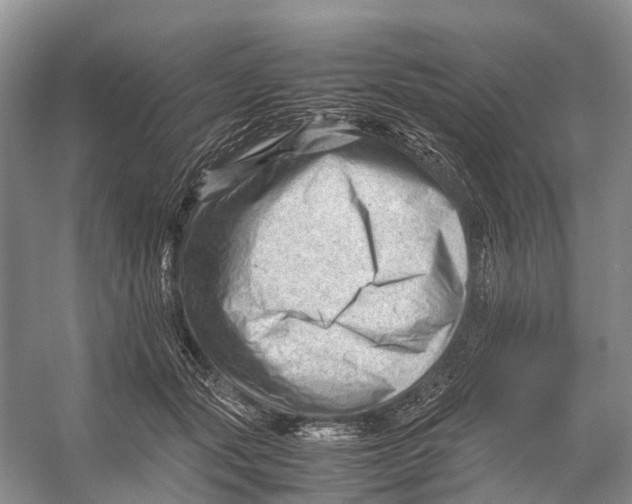 X0000053150557200508081413