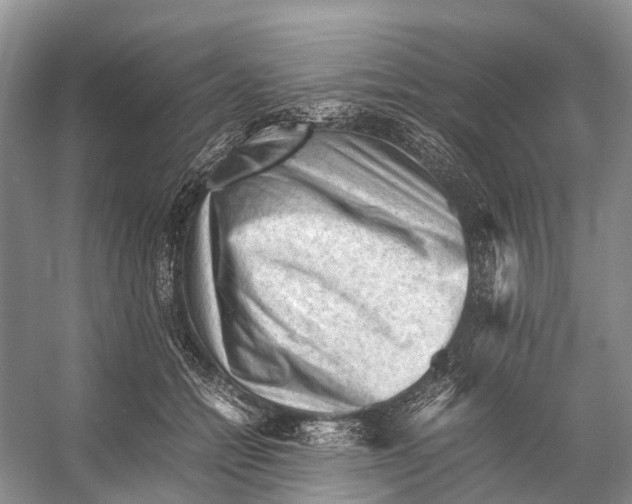 X0000053150558200508081413