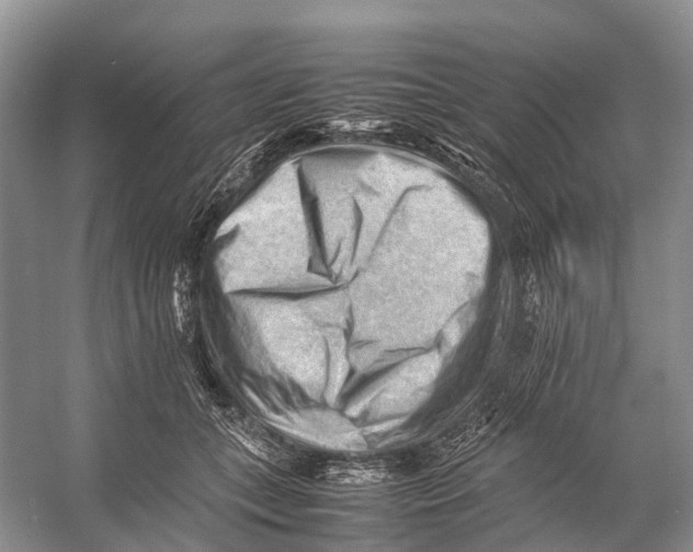 X0000053150559200508081413