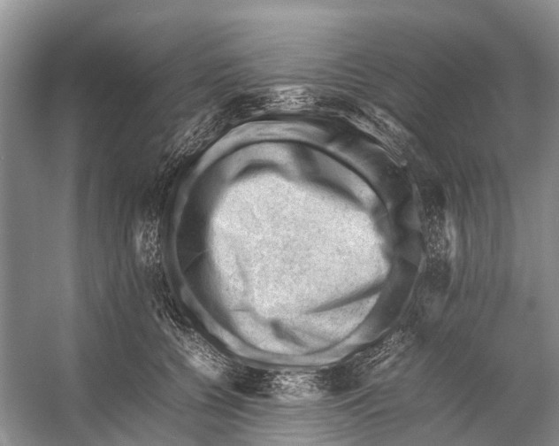 X0000053150560200508081413