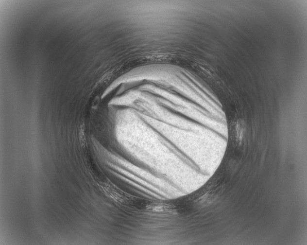 X0000053150564200508081413