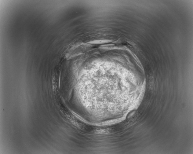 X0000053150569200508081413