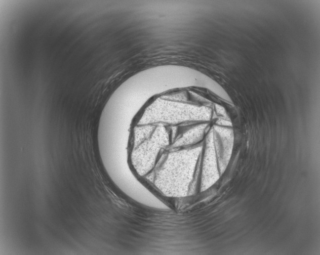 X0000053150570200508081413