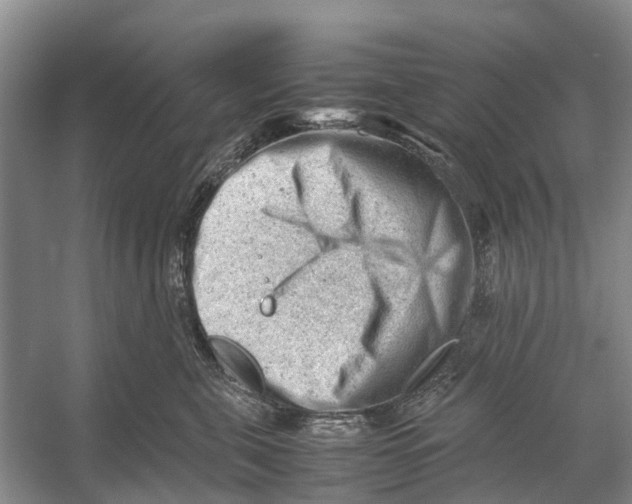 X0000053150571200508081413