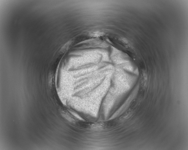 X0000053150574200508081413