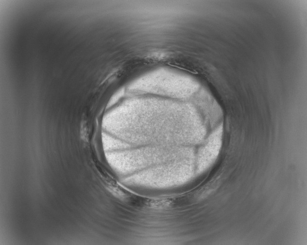 X0000053150576200508081413