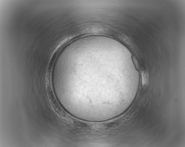 X0000053150579200508081413